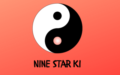 Wat is Nine Star Ki?